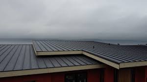 Best Solar Panel Roofing Installation  in Veazie, ME